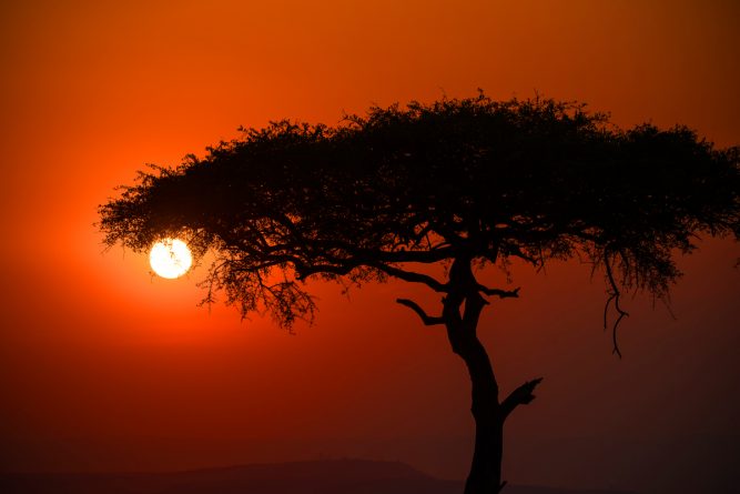DSC_0517aweb_Sonnenuntergang1